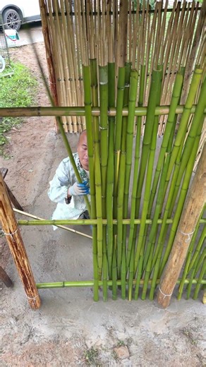 Building an Outdoor Bamboo Pavilion: From Scratch DIY Process