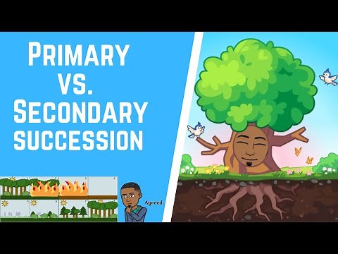 Primary vs Secondary Succession 101