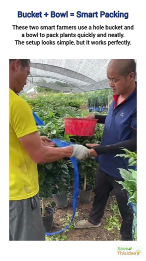 When Two Smart Farmers Working Together 🌱🔥