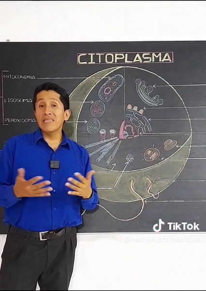 NEURON - Academia on TikTok