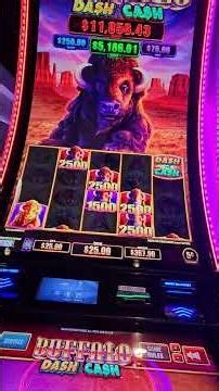 BUFFALO DASH FOR CASH #slot #casino #slotmachine #jackpot #bigwin