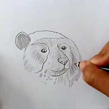 ¿Cómo dibujar el oso de anteojos ? | How to draw a bear
