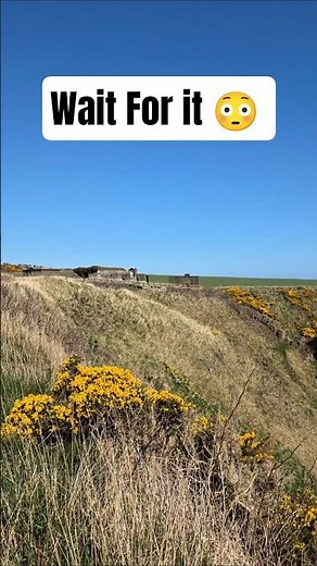Elephant Rock Montrose 🐘 Hidden Coastal Gem in Scotland 🏴󠁧󠁢󠁳󠁣󠁴󠁿 #shorts #travel