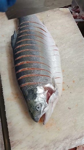 Fresh Salmon Fish Cutting | Professional Seafood Skills | Satisfying Fish Processing