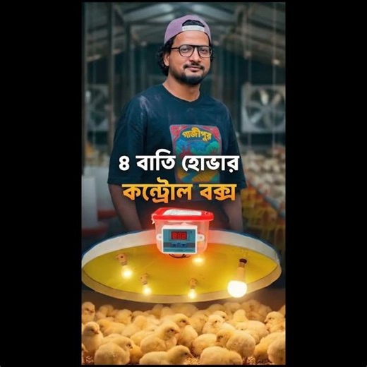 মুরগির অটো ব্রুডার। ৪ বাতির হোভার কন্ট্রোল বক্স।Shakil Farming।
