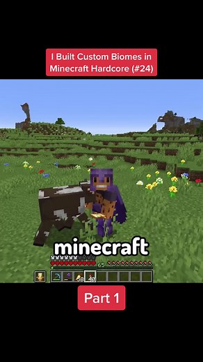 Building Custom Biomes in Minecraft Hardcore