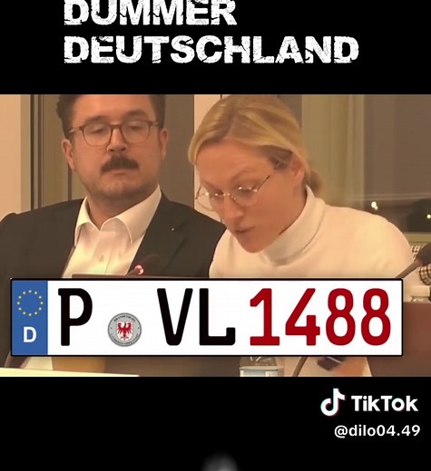 Exploring German License Plates: Fun Facts and Insights