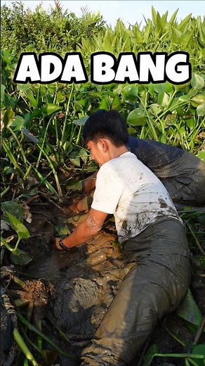 IS THIS A RIVER CATFISH OR A RICE FIELD ONE THAT WE CAUGHT