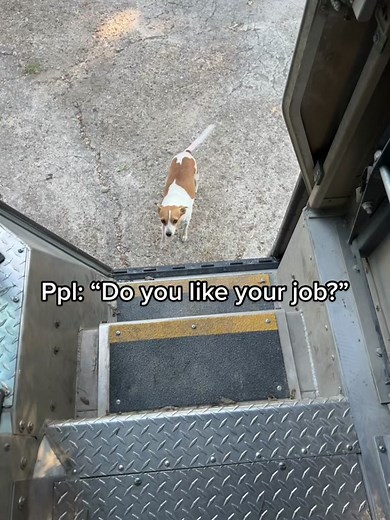 Why I Love My Job as a UPS Driver