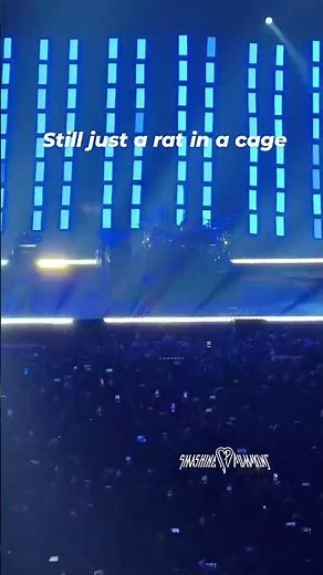 Despite all my rage I am still just a rat in a cage (Smashing Pumpkins Manila Sep 2025)