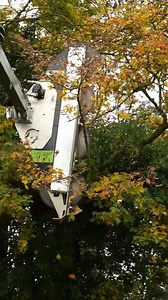 Full power tree trimming control with the LRS Quadsaw mounted on a loader. Built for professionals who need precision and speed. | GreenTec