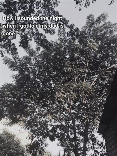 I miss you dad #fyp #imissmydad #dad