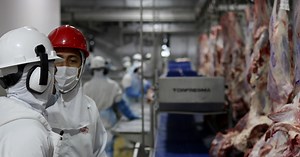 China anuncia restrição e tarifa de 55% para importação de carne bovina do Brasil e de outros países