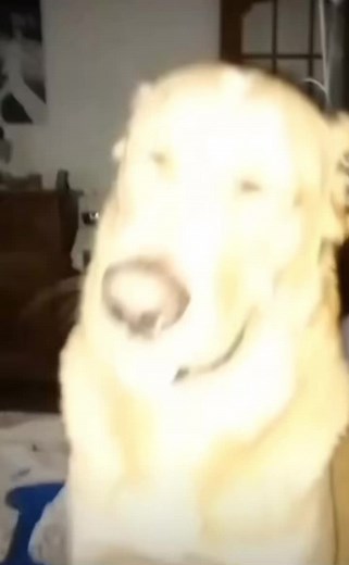 #MasculinePower #MasculineFocus #MasculineMind #AlphaMale #StrongMan #RealMan #ManOfSteel #Manhood #TrueMan #PowerfulMan #UnstoppableMan #Manly #BeastMode #WarriorMindset #FearlessMan #AliensExist #UFOsCaughtOnCamera #AlienAbduction #Area51Secrets #LifeBeyondEarth #AlienInvasion #SpaceMysteries #OutOfThisWorld #ExtraterrestrialLife #CosmicVibes #UFOFiles #ParanormalActivity #GalacticAdventures #AlienConspiracy #MysteryUnsolved #Otherworldly #UFOHunter #AlienEncounters #UniverseSecrets #AliensAmo