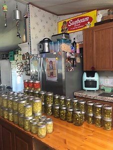 9.7K views · 232 reactions | I canned nearly 100 jars of peppers yesterday from my garden! Detailed instructions on how I can peppers⬇️ https://www.mrshappyhomemaker.com/how-to-can-banana-peppers/ You can get the pickle crisp on Amazon➡️ https://amzn.to/3CVoAsE (aff link) | Mrs Happy Homemaker | Facebook