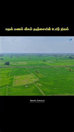 Thanjavur Green Beauty 🌾 | Bypass Drone View | Tamil Nadu Nature