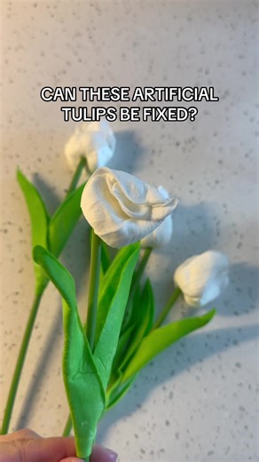 Repairing Squished Real-Touch Artificial Tulips