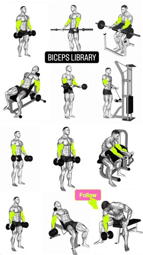 🔥biceps exercises library | Ai Fit Studio