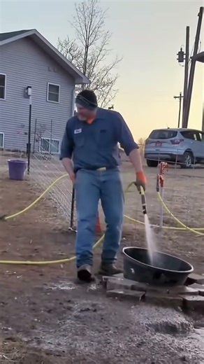 Funny goose🪿🪿#goose #geese #funny #foryou #anima