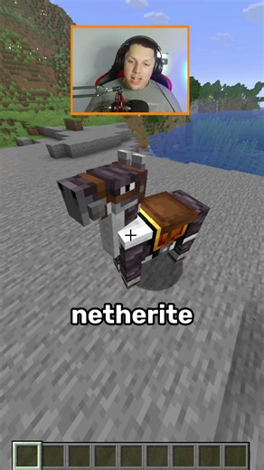 Minecraft Netherite Horse Armor #minecraft