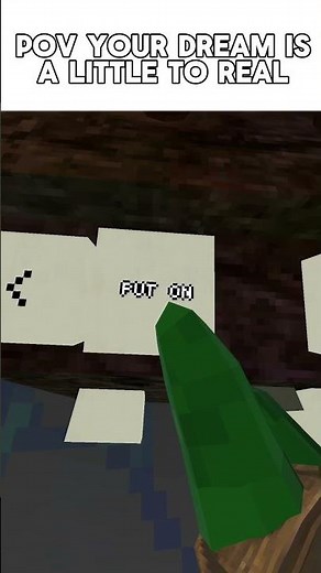 POV your dream is to real