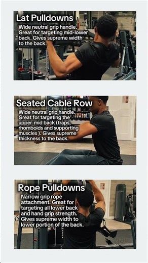 3 Exercise to add to your Back/Pull day.