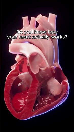 How your heart ACTUALLY works #science #doctor