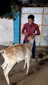 17M views · 568K reactions | #राधे #bundeli #short #desi #challenge #dancing #telent | Dsp Mokalpur | Facebook