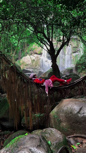 Sarawak Jurassic Park: Daytrip Bengoh Dam dengan Guide