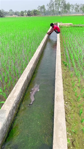 MX/..P.E)R(B..E-S💲 (@mx..p.erb..es)’s videos with original sound - itzz Queen