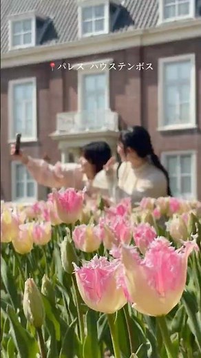 ＼この春だけの絶景🌷／