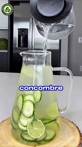 Découvre les bienfaits de l’eau au concombre et au citron dans ta routine quotidienne 🌿 Une boisson simple, fraîche et naturelle qui peut aider à mieux s’hydrater, à soutenir la digestion et à démarrer la journée en douceur. Tu l’as déjà testée ? 💧✨ #concombre #citron #hydratation #bientre #healthy | recettenaturelle