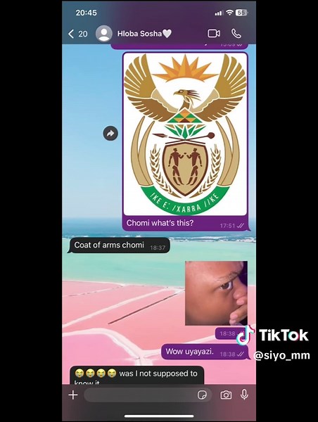 Understanding the South African Coat of Arms