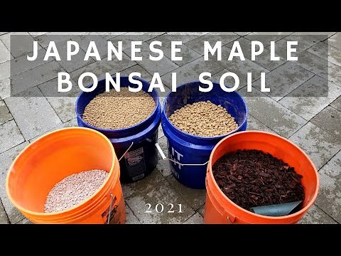 Japanese Maple Bonsai Soil