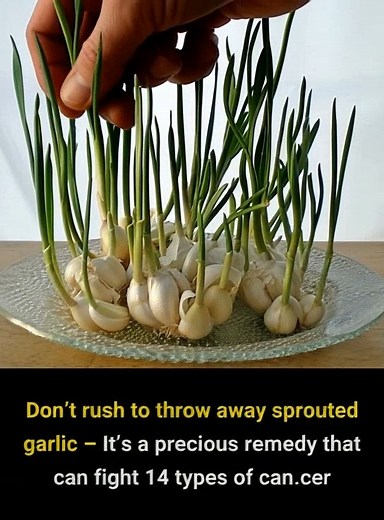 Remember not to throw it away! | Break