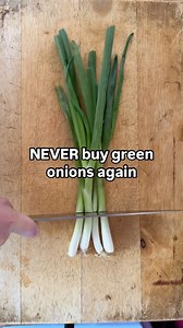 This green onion tip never gets old - a true sustainable kitchen hack...