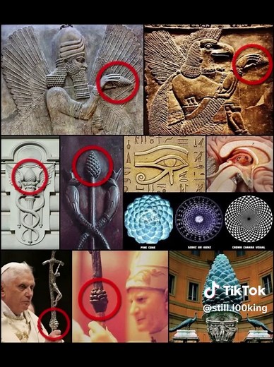 Exploring the Pineal Gland and the Third Eye Concept