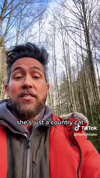 Understanding Animal Spirit Guides and Their Energy