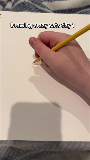 #draw #drawing #cats #kitty #crazy #kitten #art #bad #crazy #likes #fyp #fortoulage