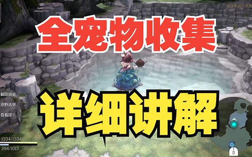 魔女之泉R全宠物收集详细位置及方法