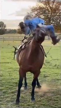 The funniest horse fails you'll see today #funny #horse #shorts