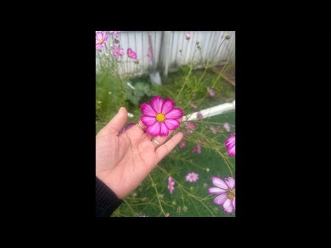 @Reena mehla Ror vlogs is live join ho jaaye sbhi jaldi