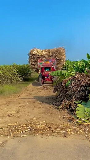 15K views · 1.3K reactions | Belarus tractor pulling trolley | Asad Ali Sahito | Facebook