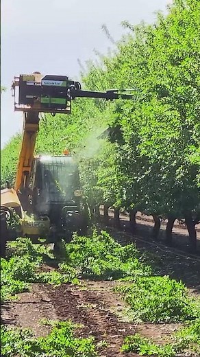 Orchard pruning has never been this easy! LRS Quadsaw by GreenTec