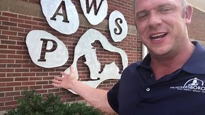 47K views · 141 reactions | Free adoption day at PAWS coming up! | Rutherford County Breaking News | Facebook