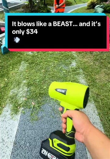 Powerful Mini Blower for All Your Cleaning Needs