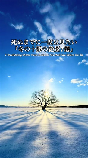 札幌から日帰りで巡る十勝の絶景スポット