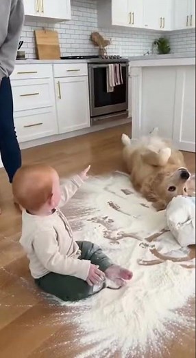 Caught On Camera: Funniest Baby Moment You’ll Ever See!