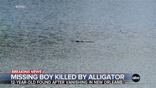 329K views · 7.4K reactions | A horrific alligator attack in New Orleans has left a 12-year-old boy dead, authorities say. Bryan Vasquez, who police say is non-verbal, vanished two weeks ago and was found by Cajun Navy searchers in an alligator infested pond near his home. Victor Oquendo reports. https://abcnews.go.com/ | ABC World News Tonight with David Muir | Facebook
