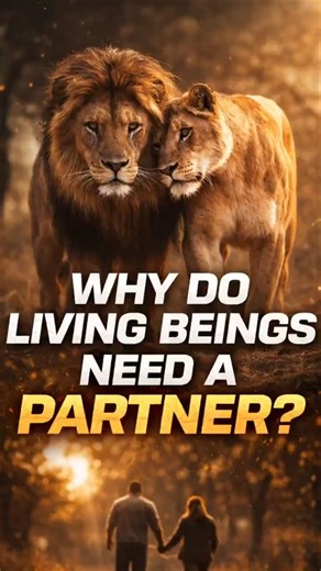 Why Do Living Beings Need a Partner⁉️ | The Science Behind Life
